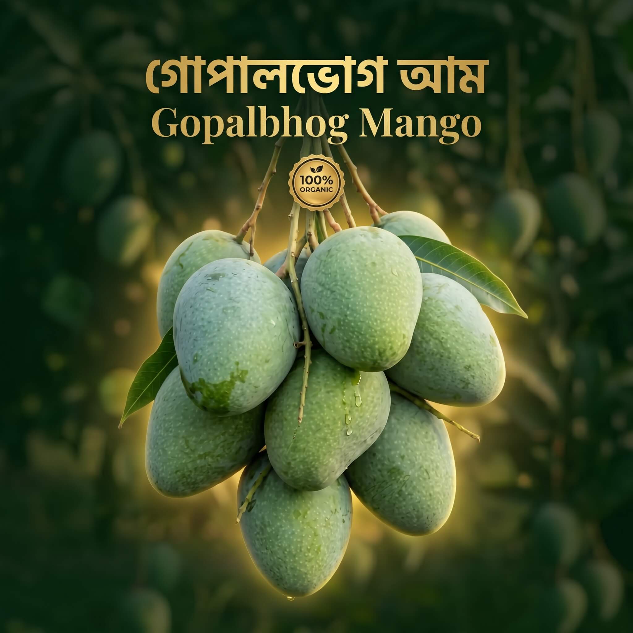 গোপালভোগ আম
