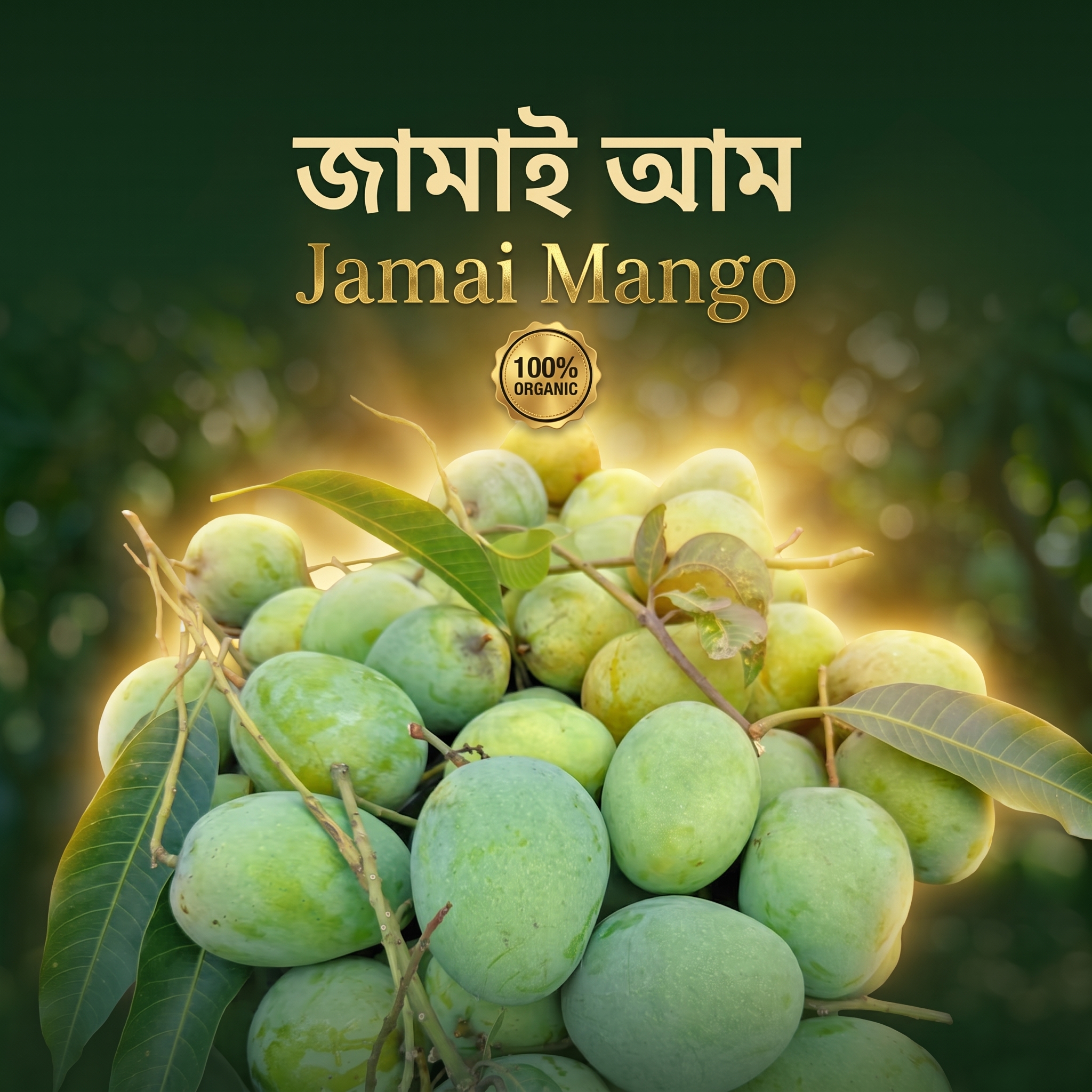 জামাই আম, ডেলিভারি ১৫-২০ জুন